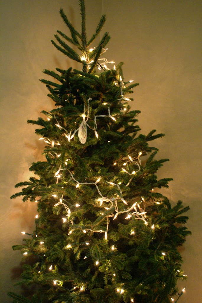 first christmas tree